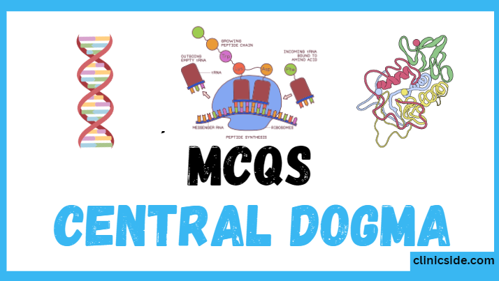 Central Dogma of Molecular Biology